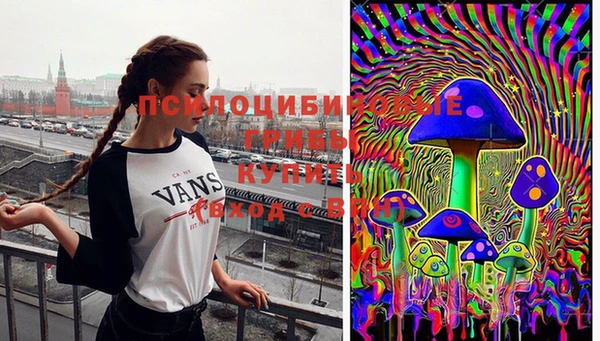 дмт Белоозёрский