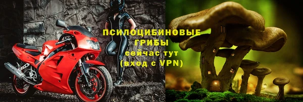 соль ск Белокуриха