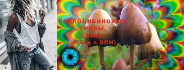 соль ск Белокуриха